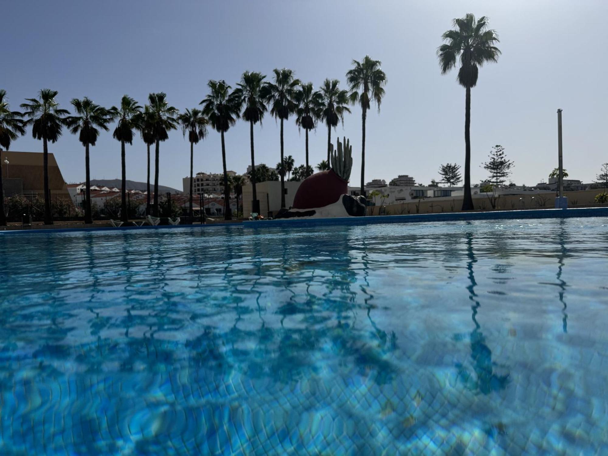 Las Americas Stunning Apartment Close To The Sea In Tenerife 阿罗纳 外观 照片